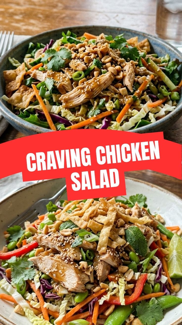 Fresh Asian chicken salad with vibrant vegetables and sesame seeds