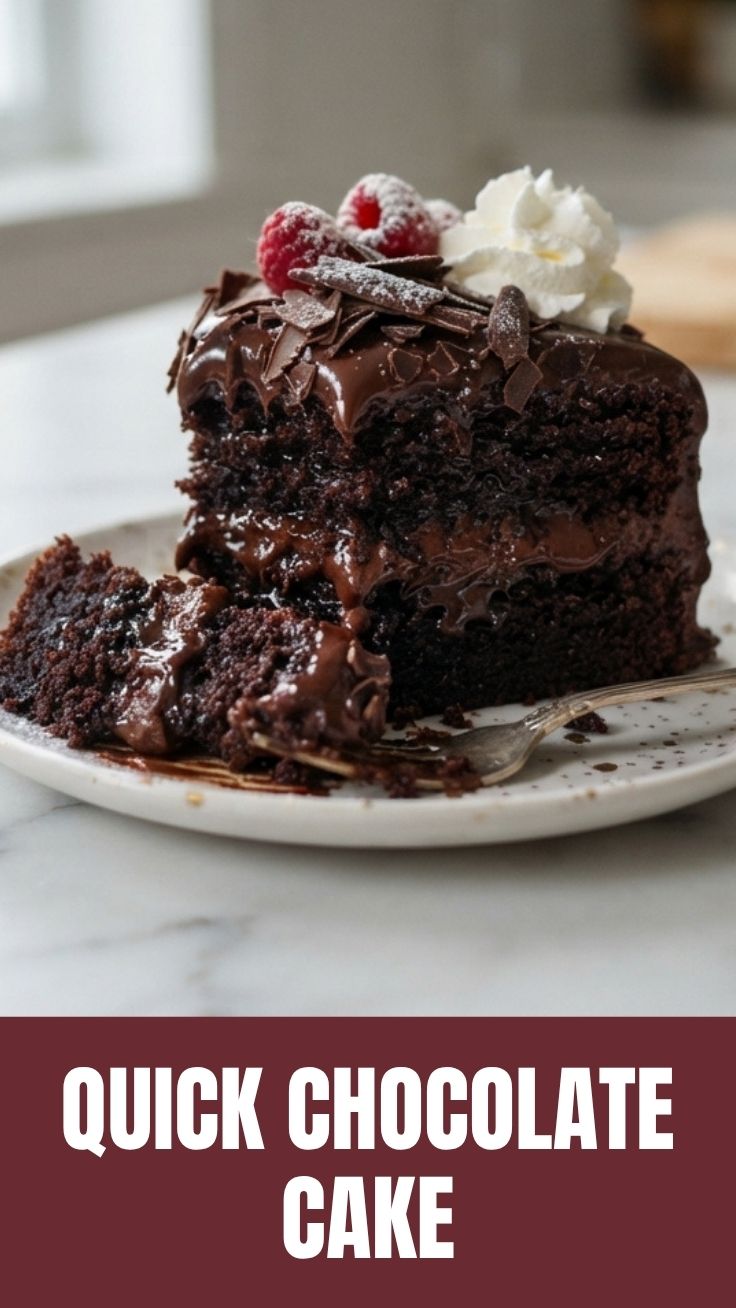 Rich chocolate cake with dark frosting